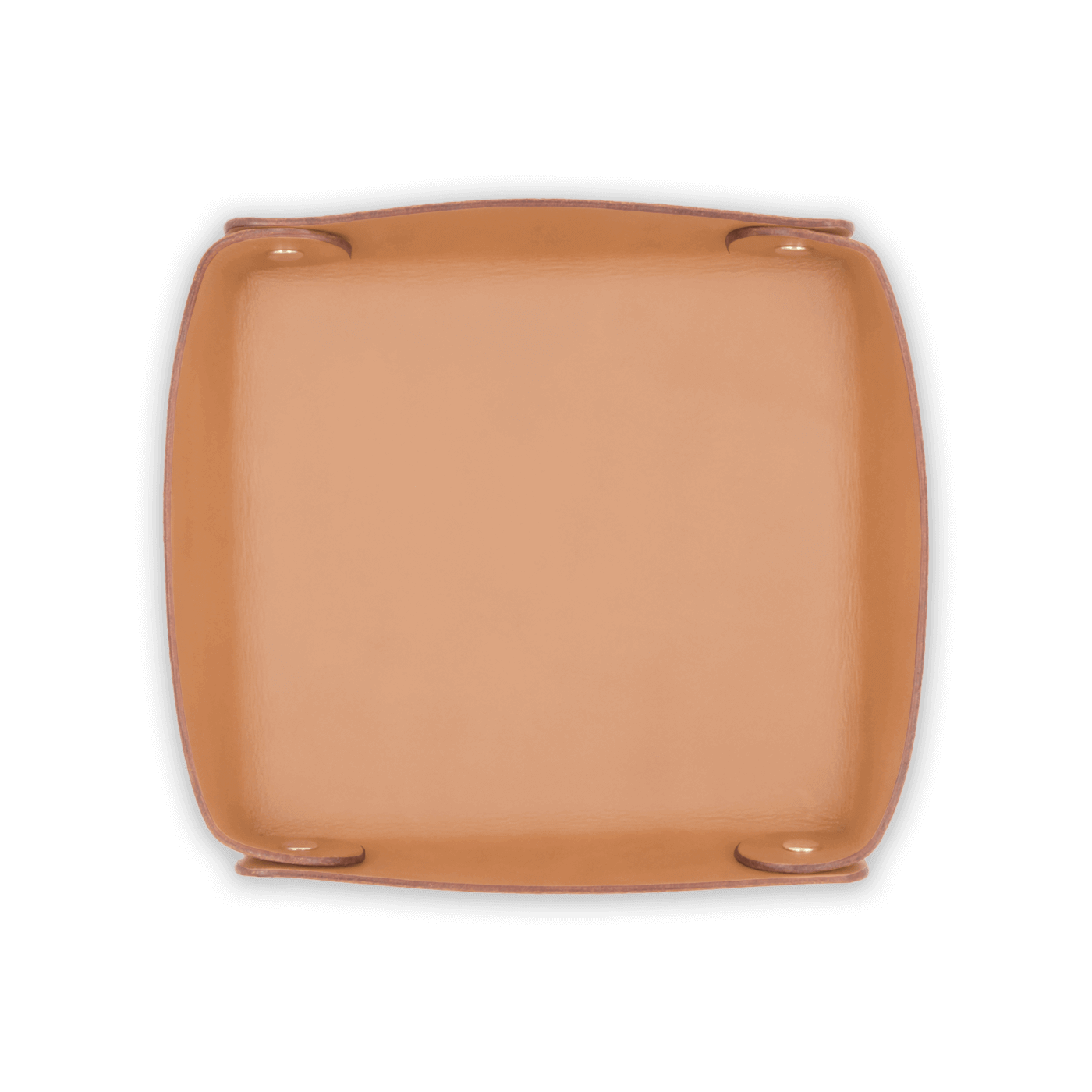 Natural leather valet tray top down view with brass hardware.