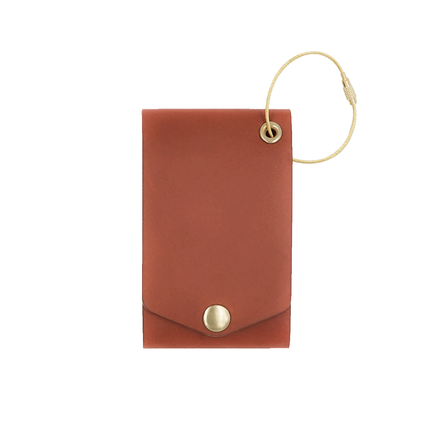 Brown leather luggage tag with fold closure and brass hardware.