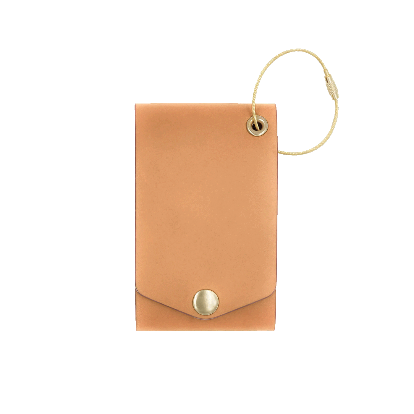 Tan leather luggage tag with fold closure and brass hardware.