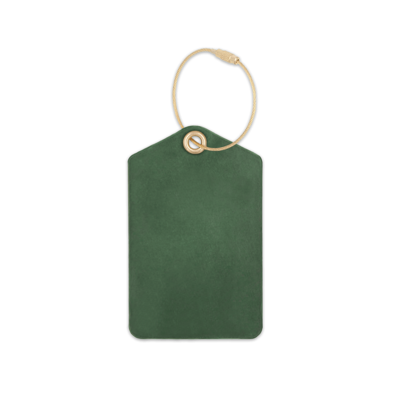 Green leather luggage tag with brass hardware.