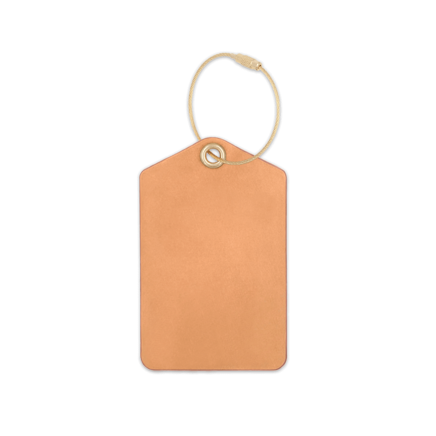 Tan leather luggage tag with brass hardware.