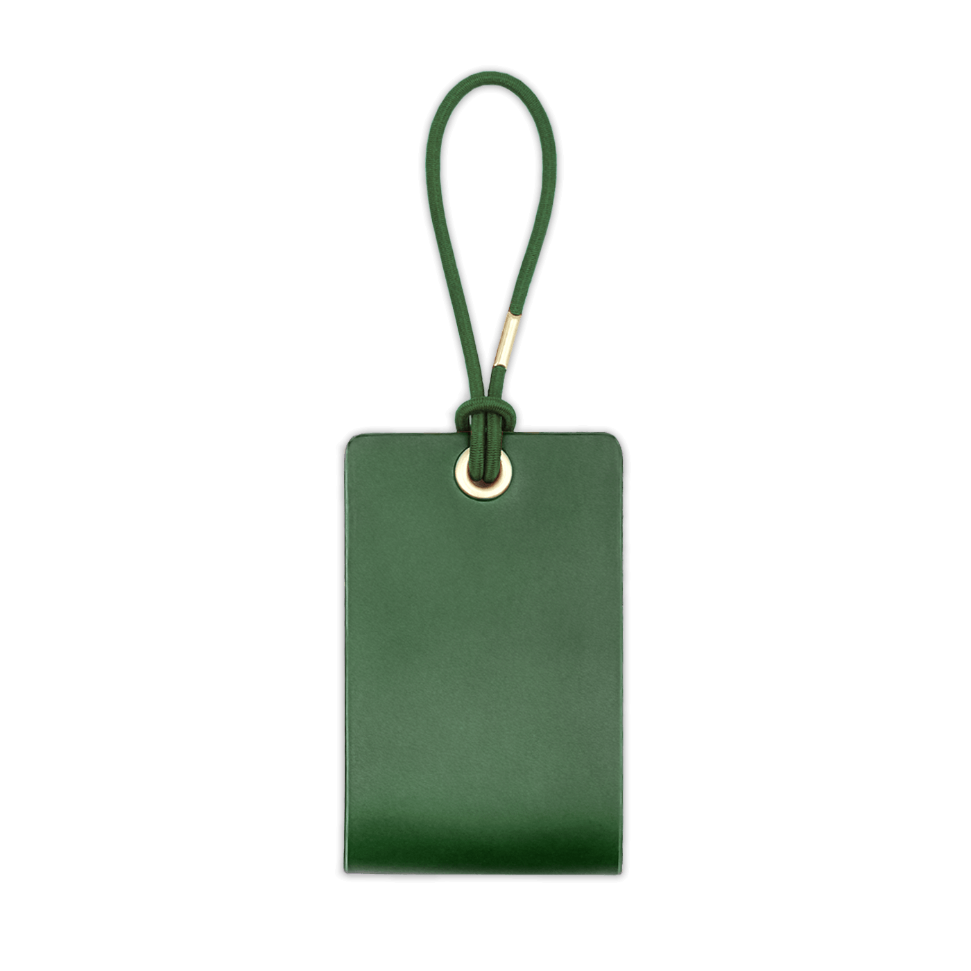 Standard Luggage Tag in Green.