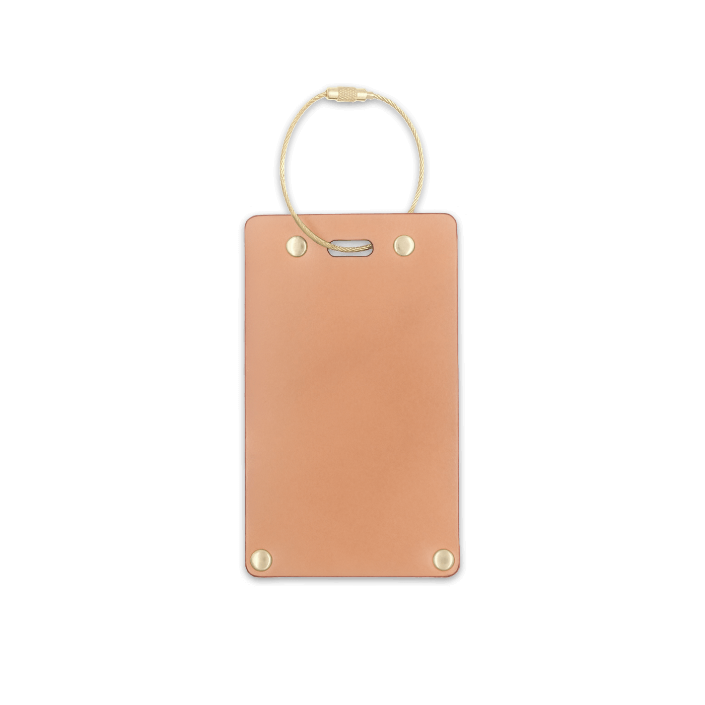 Natural leather rectangular luggage tag front view with brass hardware.