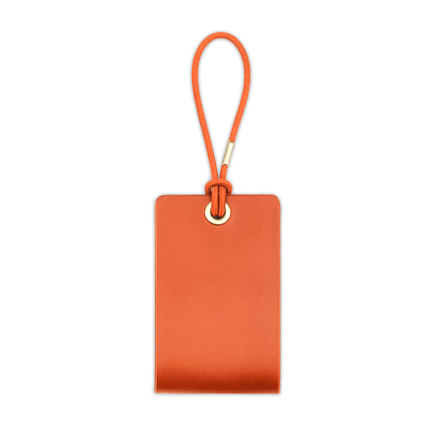 Standard Luggage Tag in Orange.