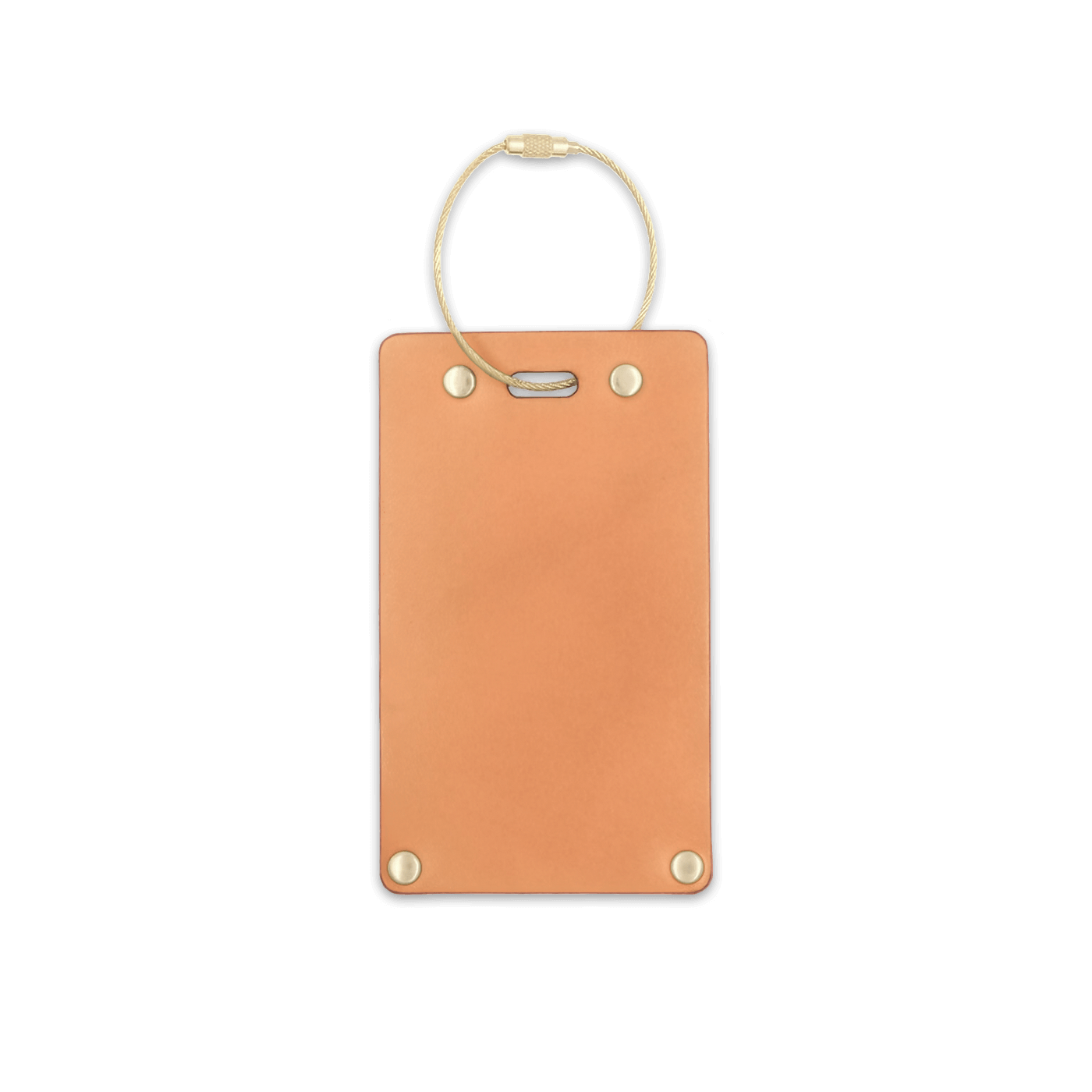 Tan leather rectangular luggage tag front view with brass hardware.