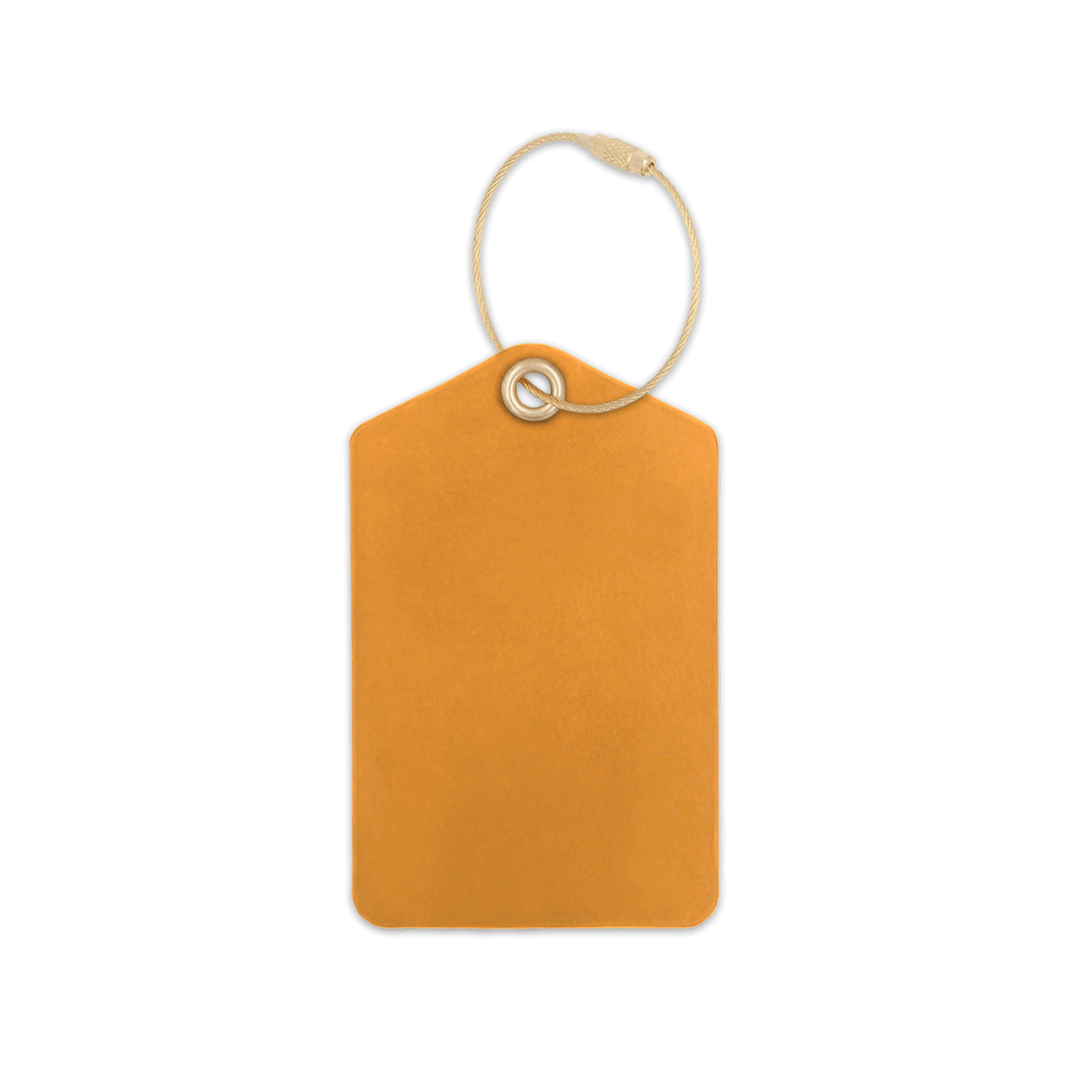Gold leather luggage tag with brass hardware 
